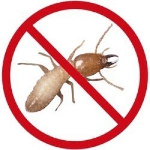 anti-termite-control-service-250x250