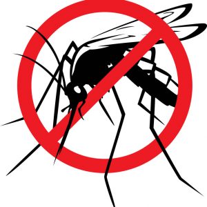 no-mosquito-zone